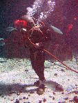 IMG_4849 IMG_4849