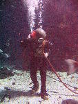 IMG_4850 IMG_4850