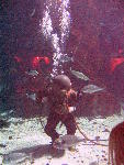 IMG_4851 IMG_4851