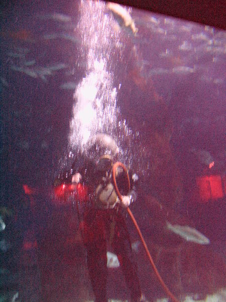 IMG_4852