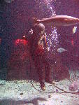 IMG_4853 IMG_4853