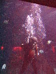 IMG_4854 IMG_4854