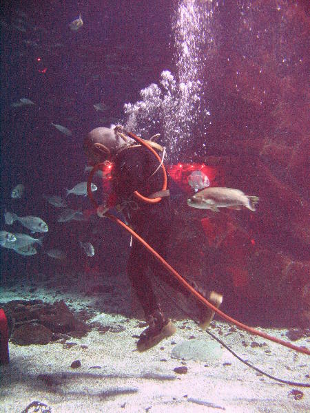 IMG_4855