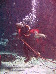 IMG_4855 IMG_4855