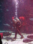 IMG_4856 IMG_4856