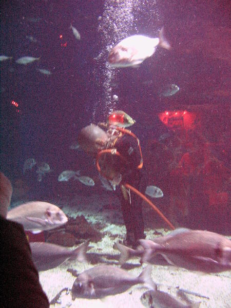 IMG_4857