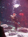 IMG_4857 IMG_4857