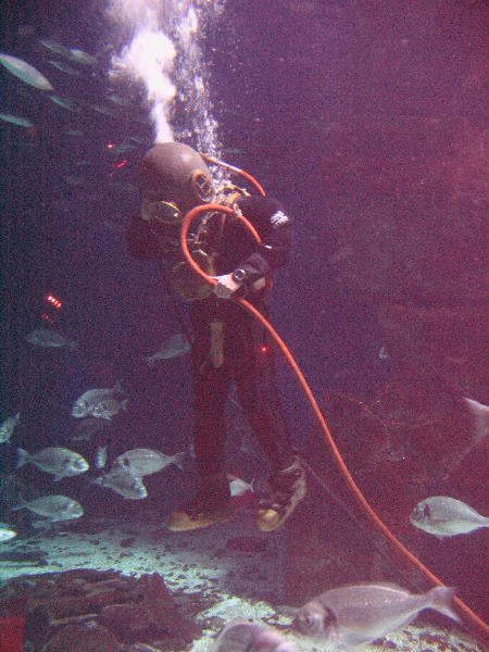 IMG_4858