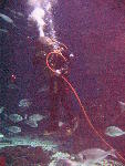 IMG_4858 IMG_4858