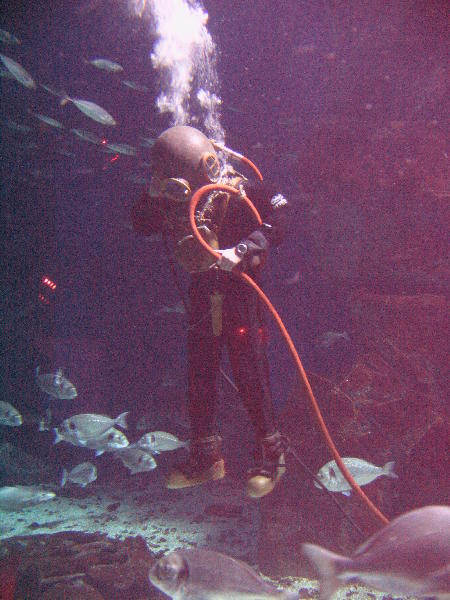 IMG_4859