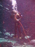 IMG_4859 IMG_4859