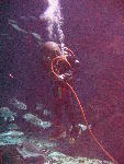 IMG_4860 IMG_4860