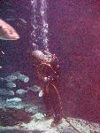 IMG_4862 IMG_4862