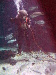 IMG_4863 IMG_4863