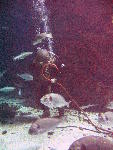 IMG_4864 IMG_4864