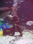 IMG_4865 IMG_4865