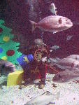 IMG_4868 IMG_4868