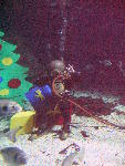 IMG_4869 IMG_4869
