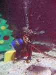 IMG_4870 IMG_4870