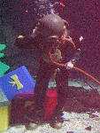 IMG_4871 IMG_4871