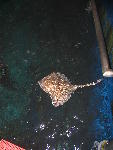 IMG_4873 IMG_4873