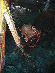 IMG_4876 IMG_4876