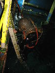 IMG_4877 IMG_4877