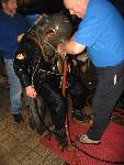 IMG_4880 IMG_4880