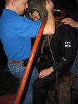IMG_4918 IMG_4918