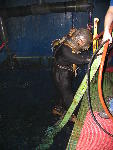 IMG_4933 IMG_4933