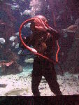 IMG_4934 IMG_4934