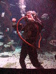 IMG_4935 IMG_4935