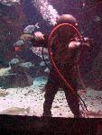 IMG_4936 IMG_4936