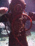 IMG_4938 IMG_4938