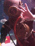 IMG_4940 IMG_4940