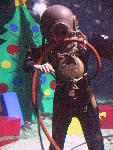 IMG_4941 IMG_4941