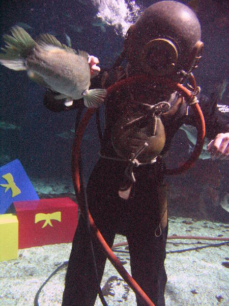 IMG_4942