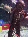 IMG_4942 IMG_4942
