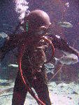 IMG_4943 IMG_4943
