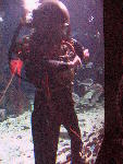 IMG_4944 IMG_4944