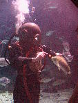 IMG_4946 IMG_4946