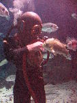 IMG_4947 IMG_4947