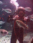 IMG_4948 IMG_4948