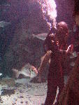 IMG_4949 IMG_4949