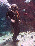 IMG_4951 IMG_4951