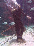 IMG_4952 IMG_4952