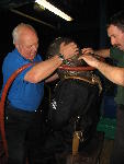 IMG_4975 IMG_4975