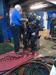 IMG_4981 IMG_4981