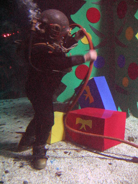 IMG_4992