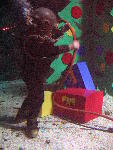 IMG_4992 IMG_4992